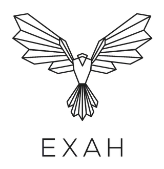 EXAH logo