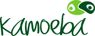 Kamoeba Consulting logo