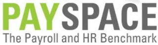PaySpace logo